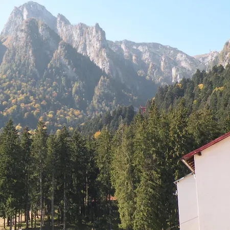 Dream Apartamento Buşteni